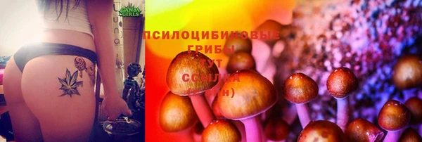 MESCALINE Горнозаводск