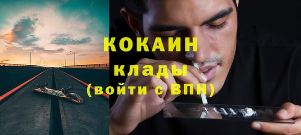молекула духа Горняк