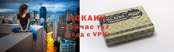 мдпв Горно-Алтайск