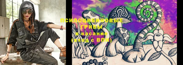 молекула духа Горняк