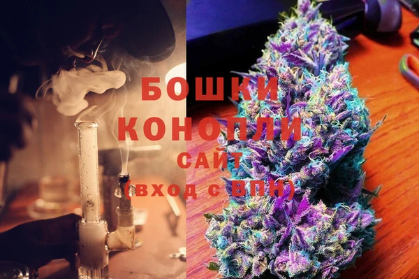 мдпв Горно-Алтайск