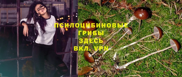 мдпв Горно-Алтайск