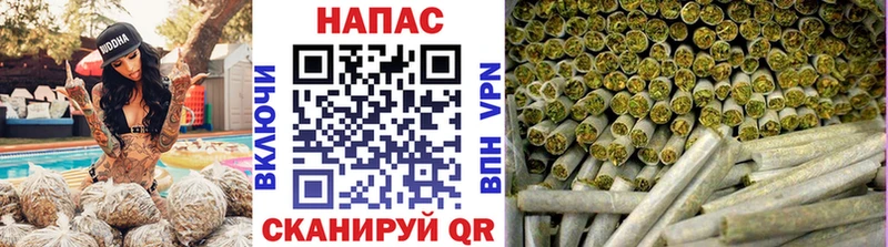 купить   Гусь-Хрустальный  Канабис тримм 
